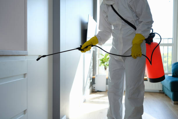 Professional Mold Inspection, Removal & Remediation in Rosemont, CA